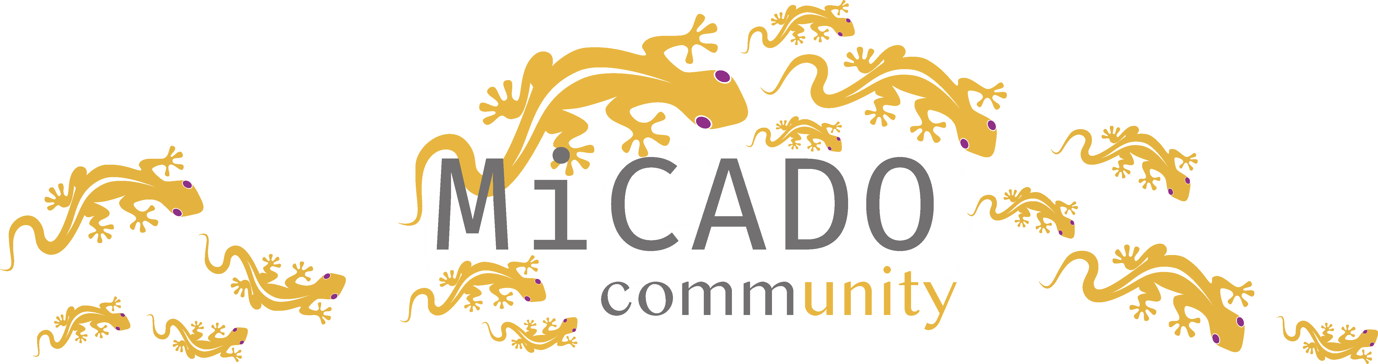 MiCADOcommunity 