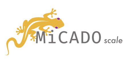 MiCADO Logo